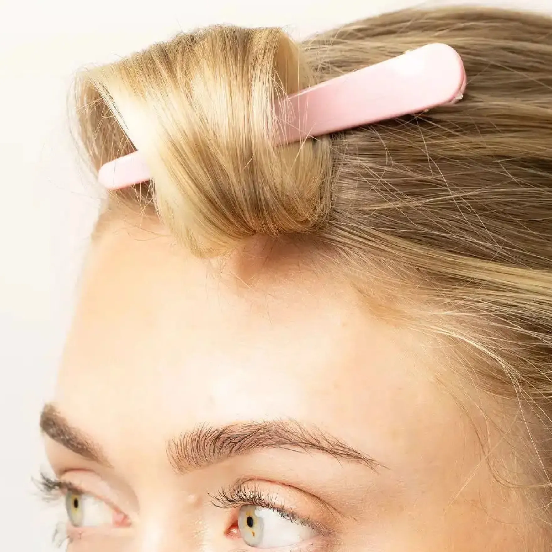 Sectioning Clips