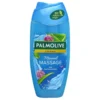 Shower Gel Mineral Massage