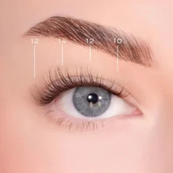 Soft Definition Dark Brown Pre-Glued Lashes