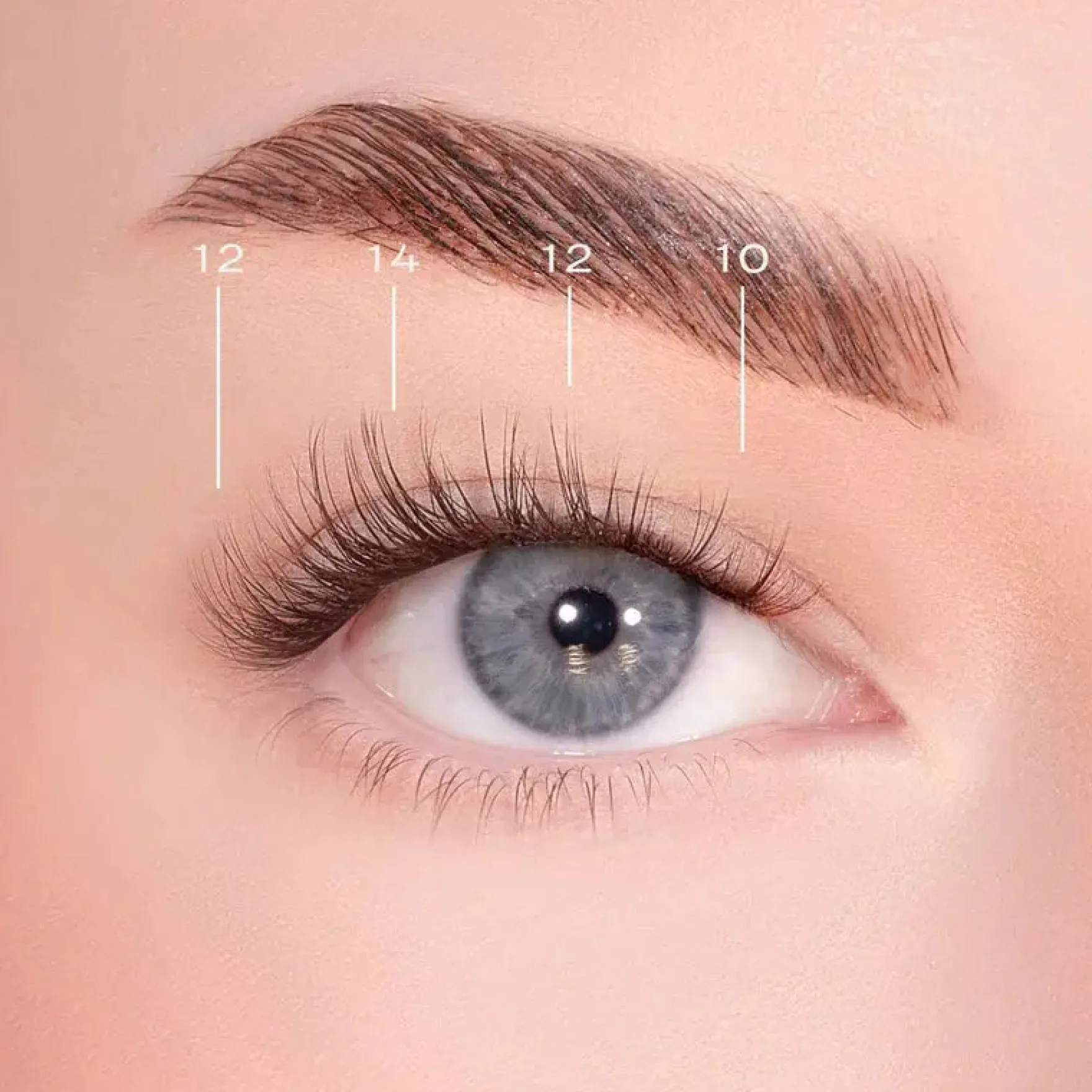 Soft Definition Dark Brown Pre-Glued Lashes