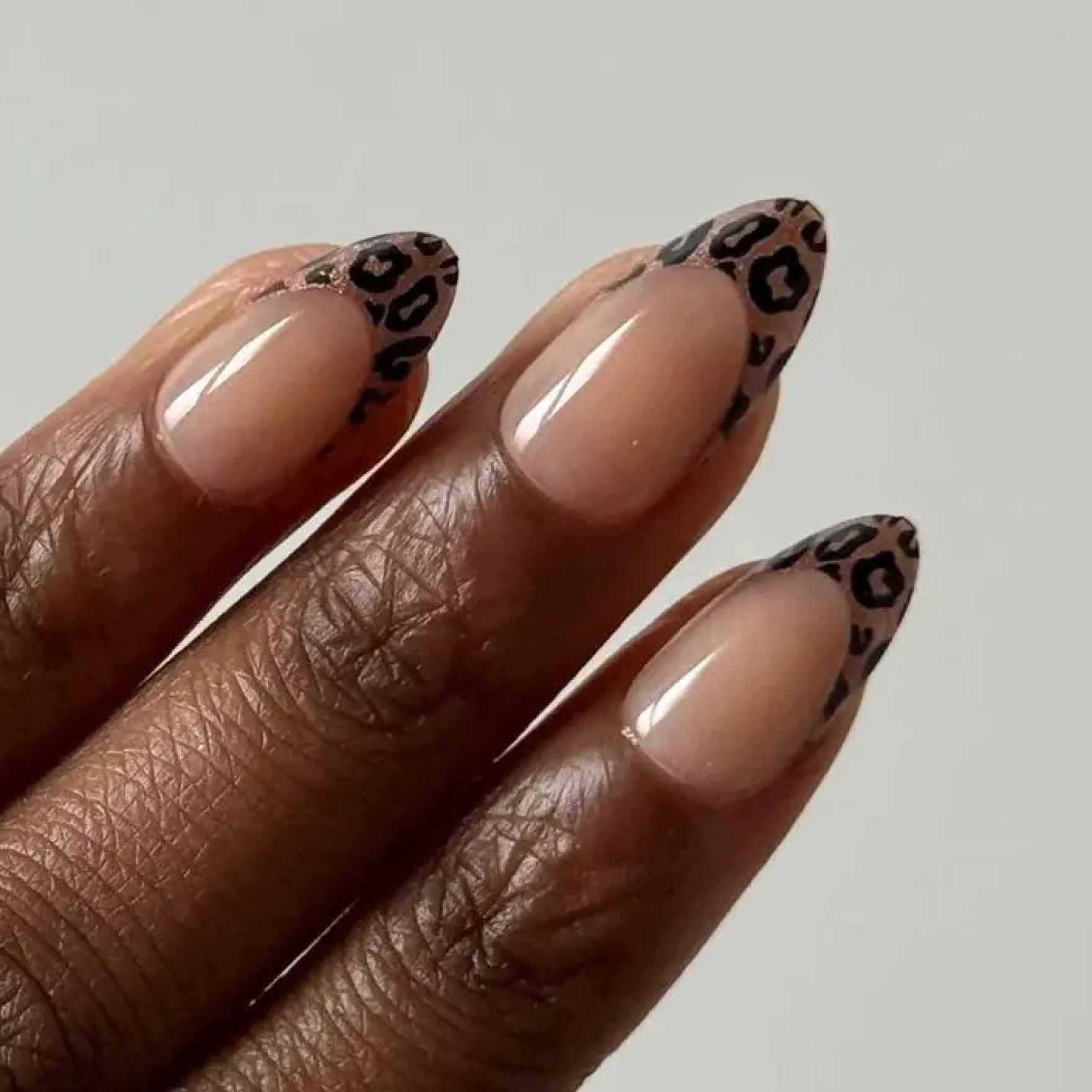 Soft Gel Press-On Nails Untamed