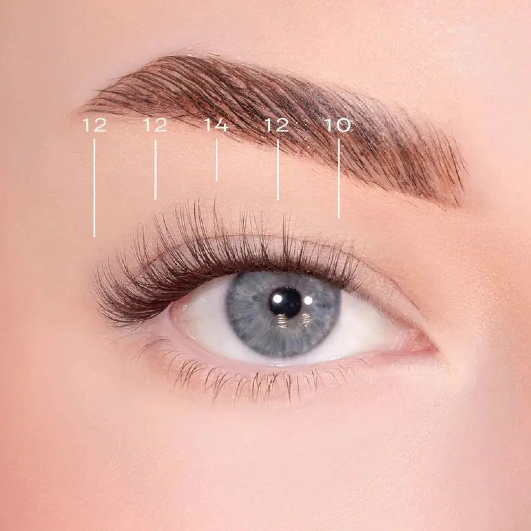 Soft Wisp Dark Brown Pre-Glued Lashes