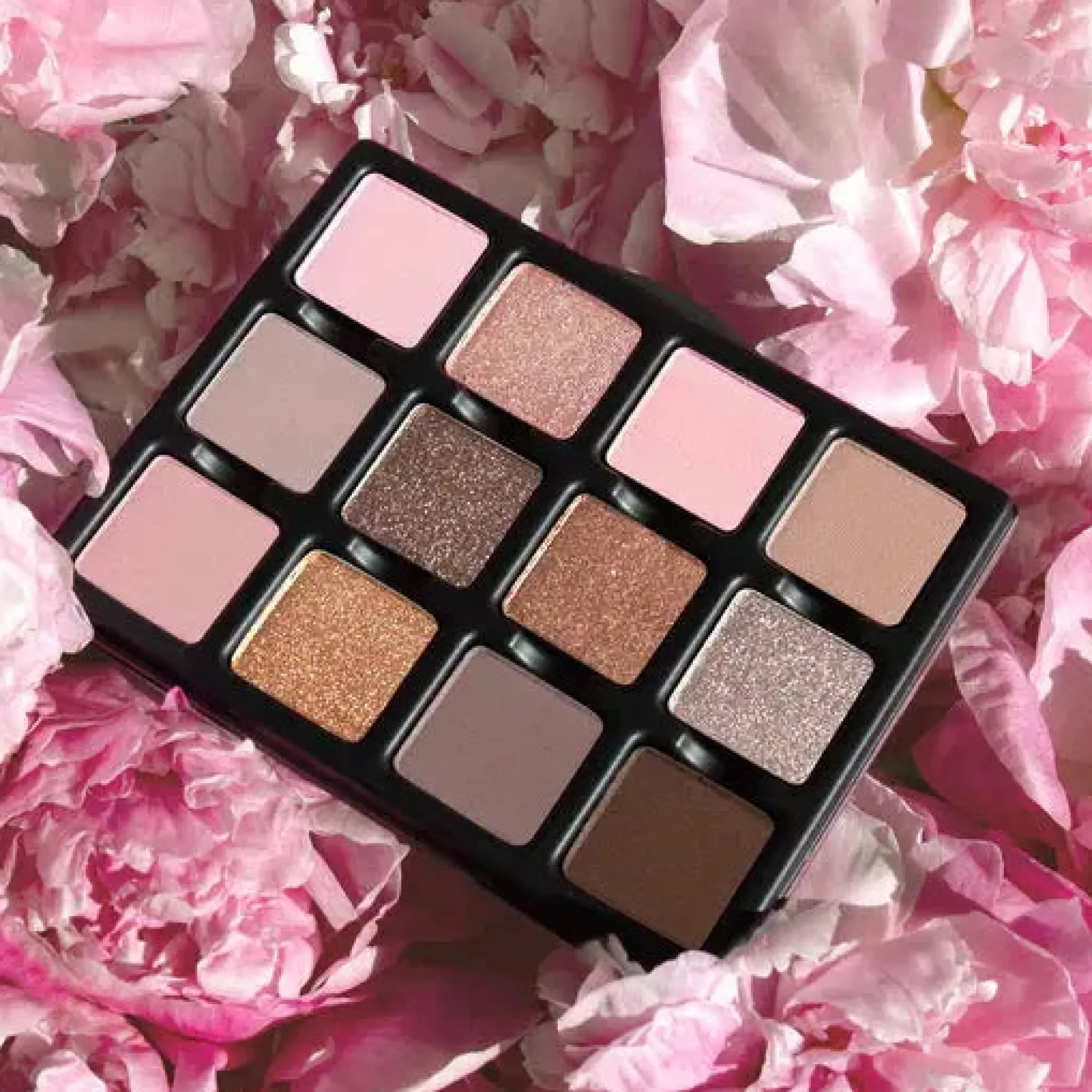 Étendu Lilas Lumiere Pigment Palette