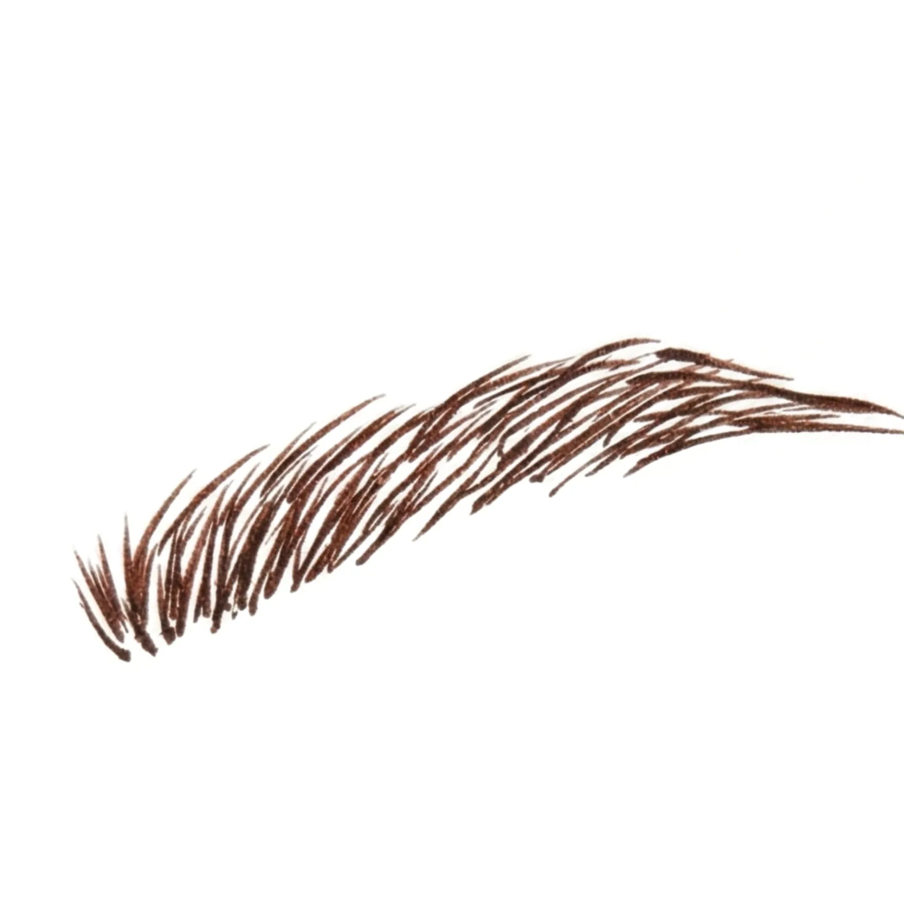 The Brow Detailer