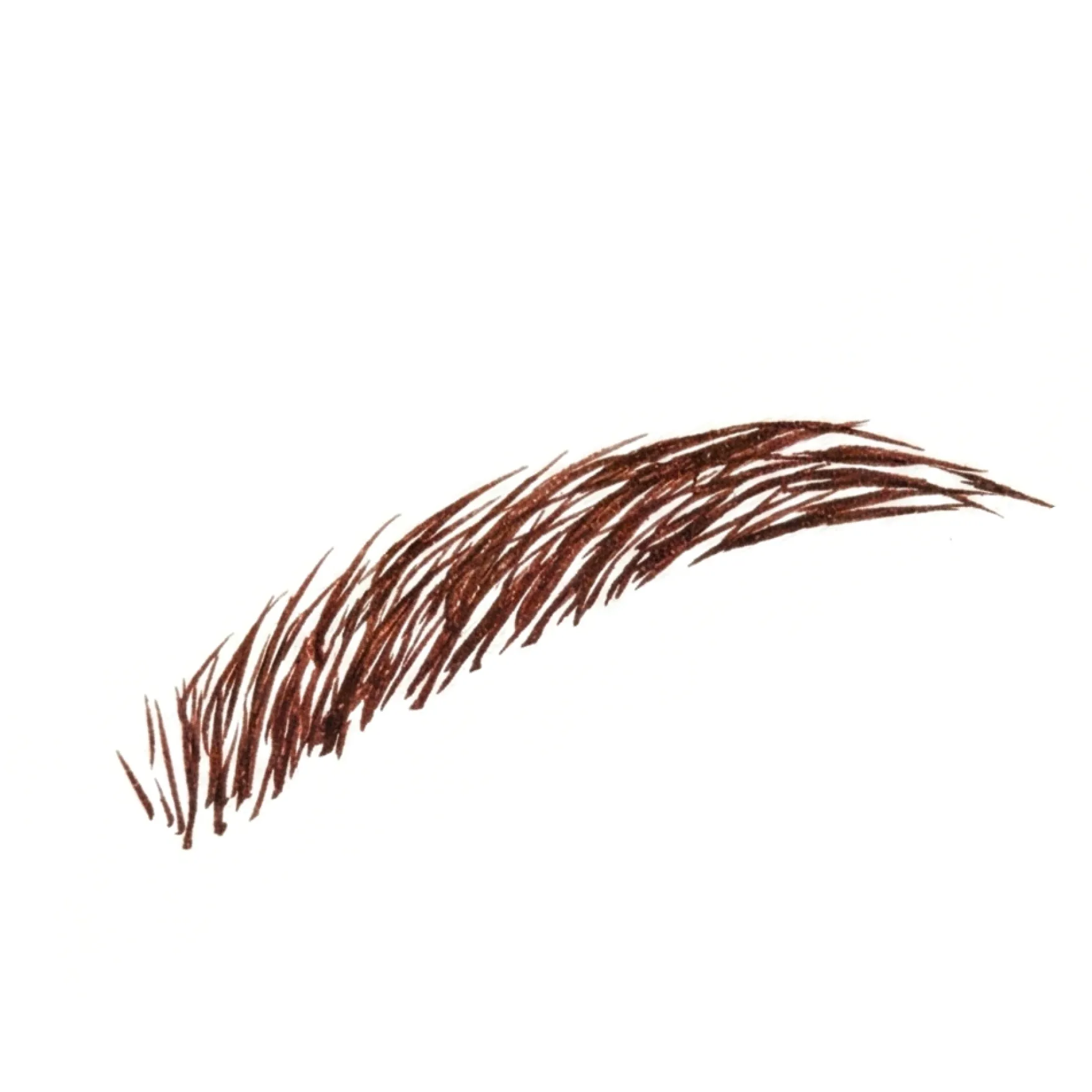 The Brow Detailer