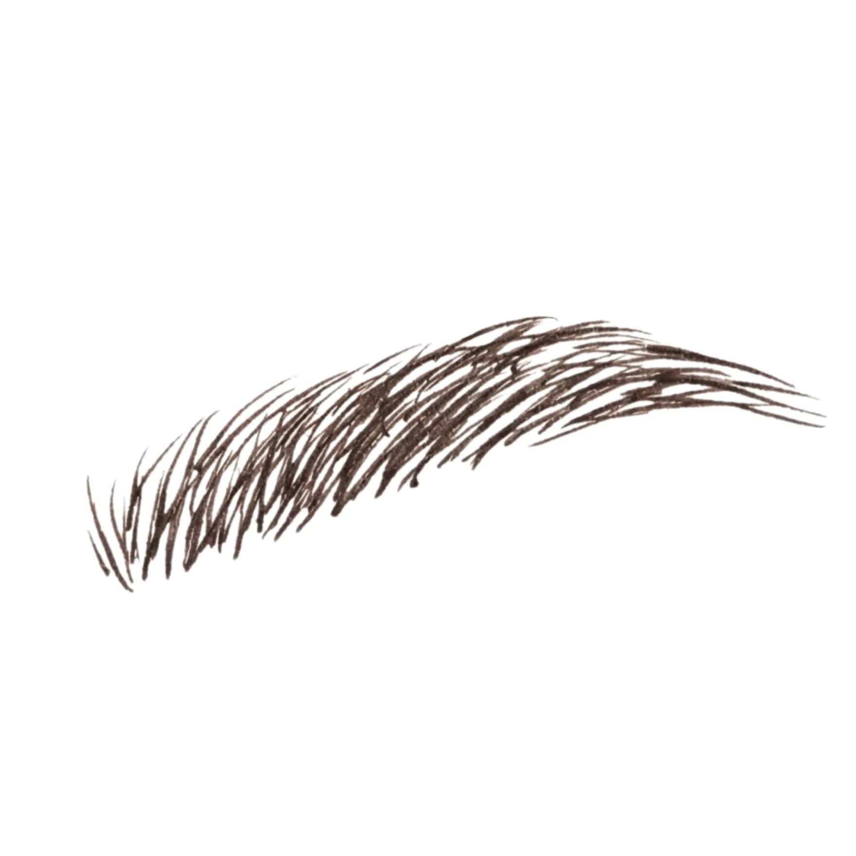 The Brow Detailer