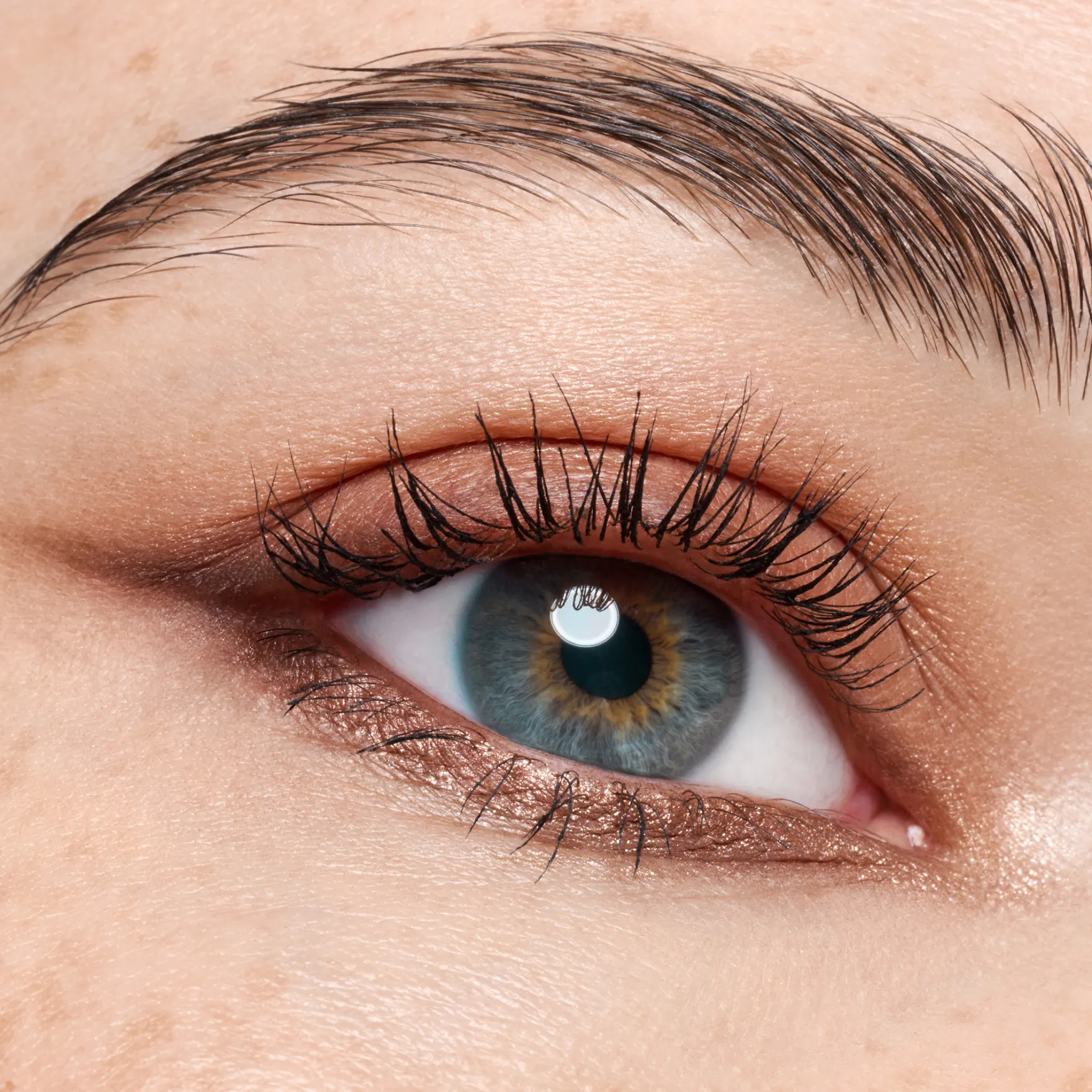The Dark Cocoa Eyeshadow Palette