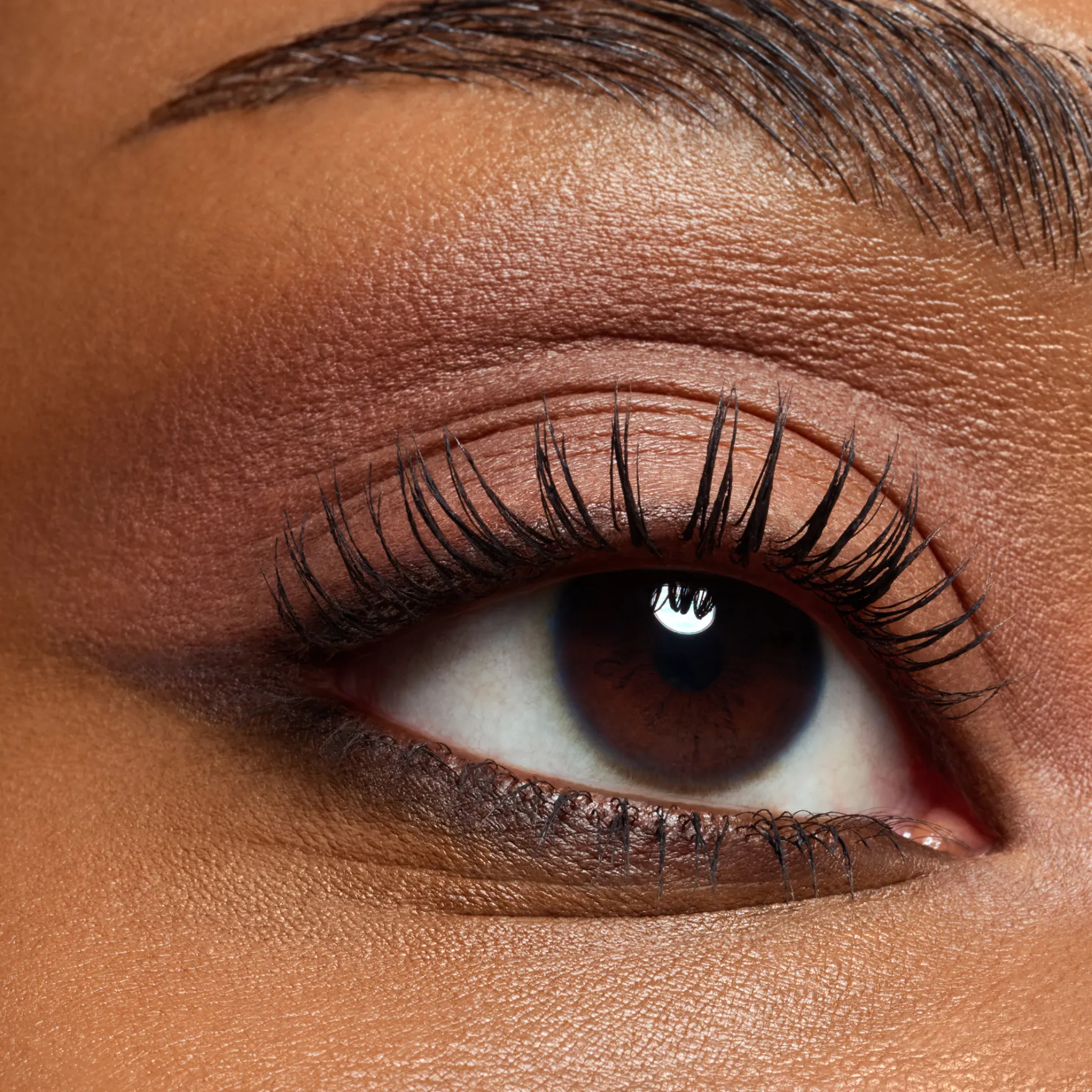 The Dark Cocoa Eyeshadow Palette