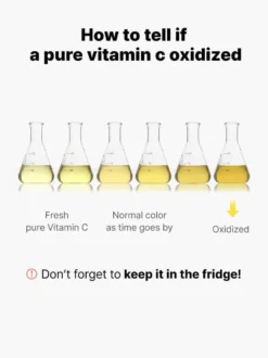 The Vitamin C 13 Serum