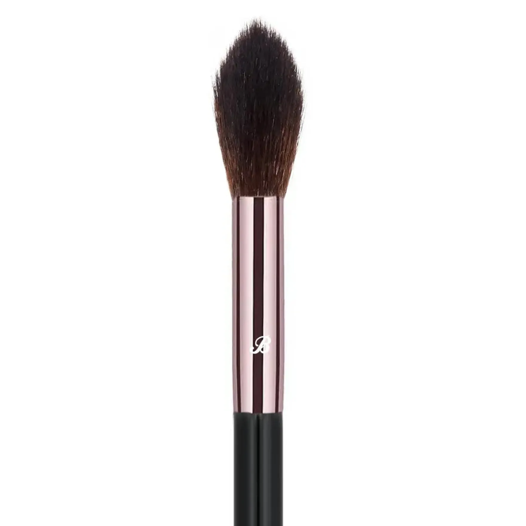 UP21 Blender Brush