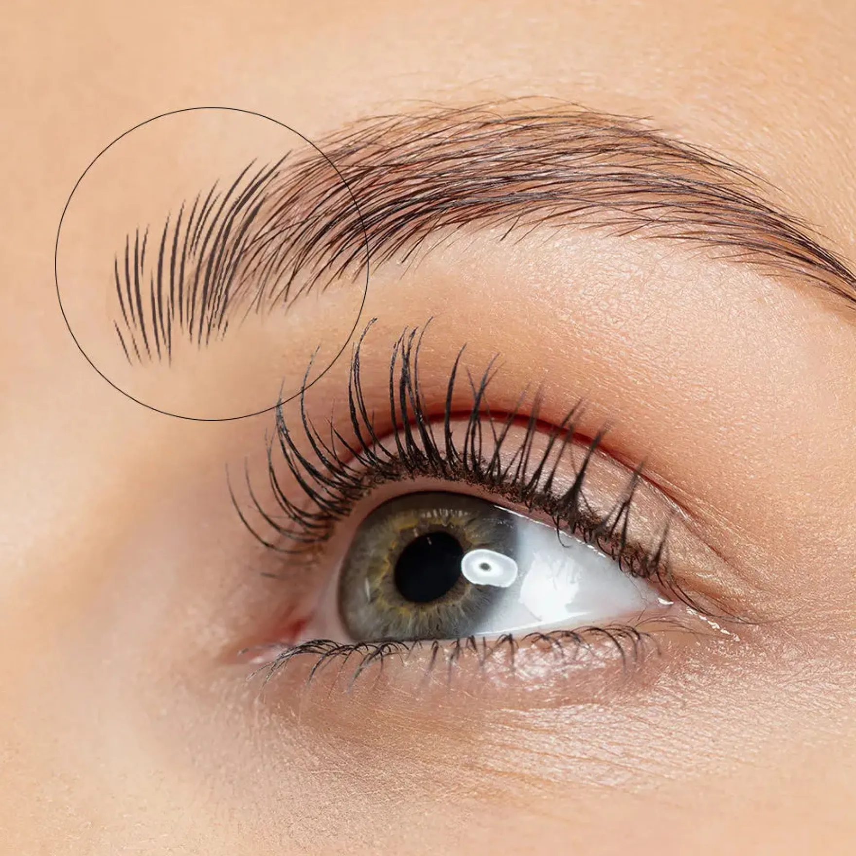 UP42 Square Angled Brow Brush