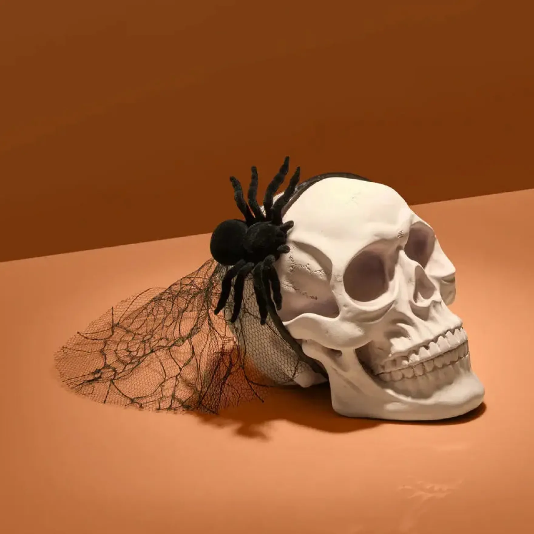Veil Headband Spiderweb