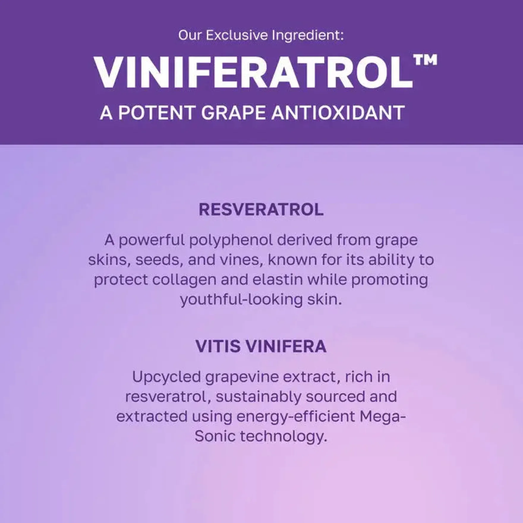 Vinoberry Bakuchi-Oil Firming Ampoule