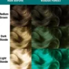 Voodoo Forest Hair Color