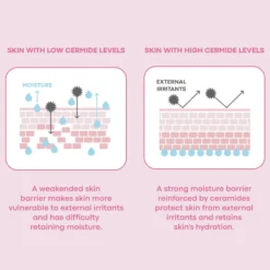 Wonder Ceramide Mocchi Toner